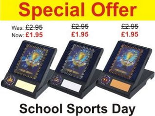 Great Deal on Sports Day Trophies