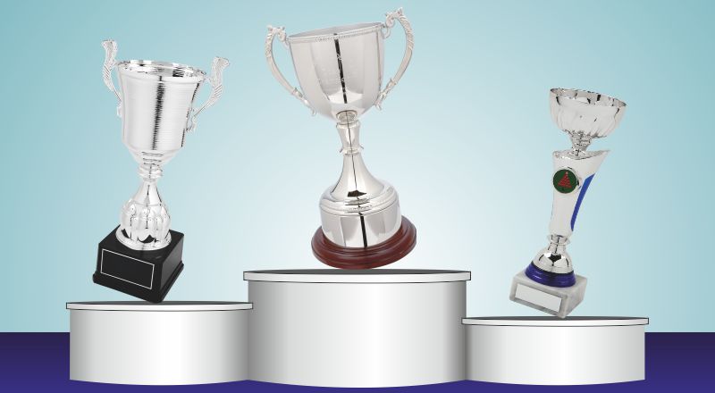How to Choose the Ideal Trophy Cup for Your Next Awards Ceremony