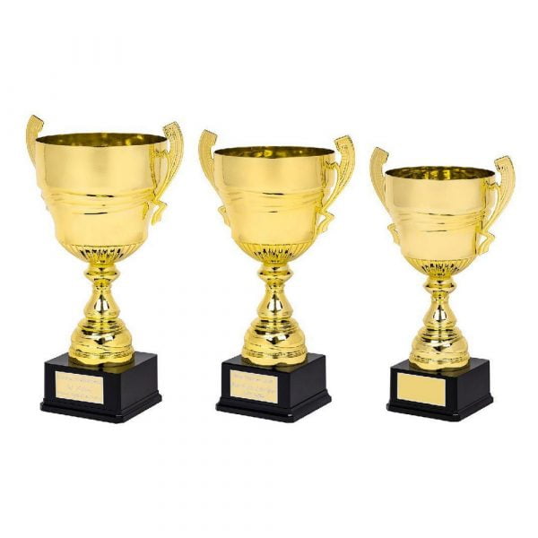 Large Gold Presentation Cup on Black Base