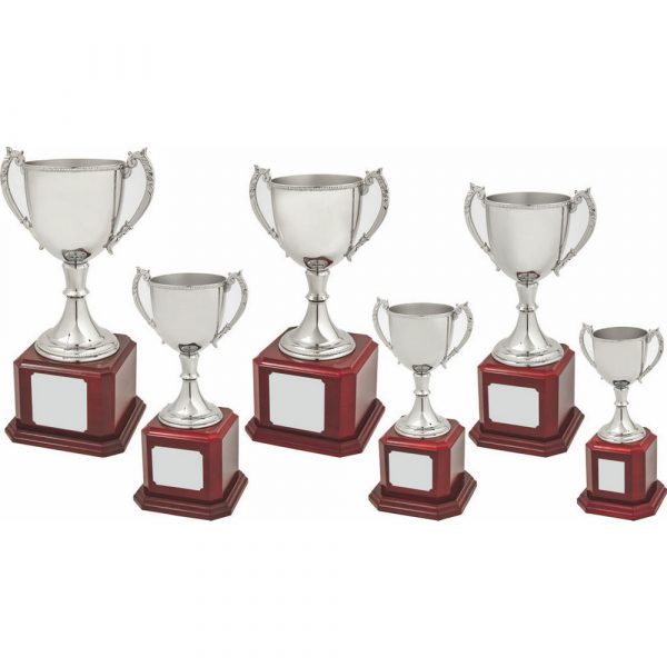 Nickel Plated Trophy Cup on Wood Base