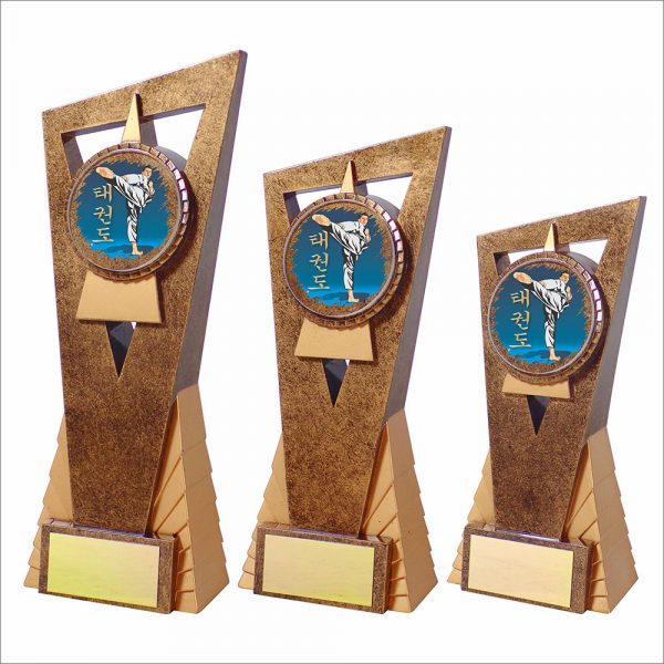 Taekwondo Edge Trophy