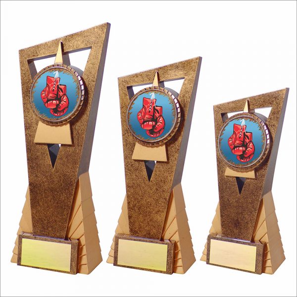 Boxing Edge Trophy