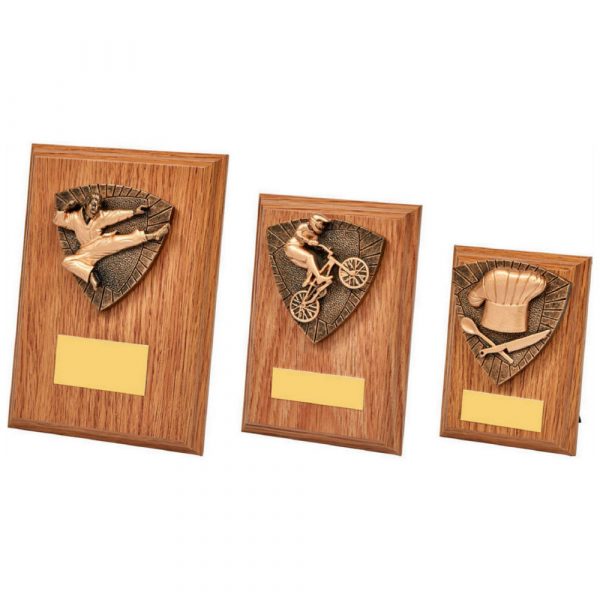 Wood Plaque with Resin Trim of your Choice