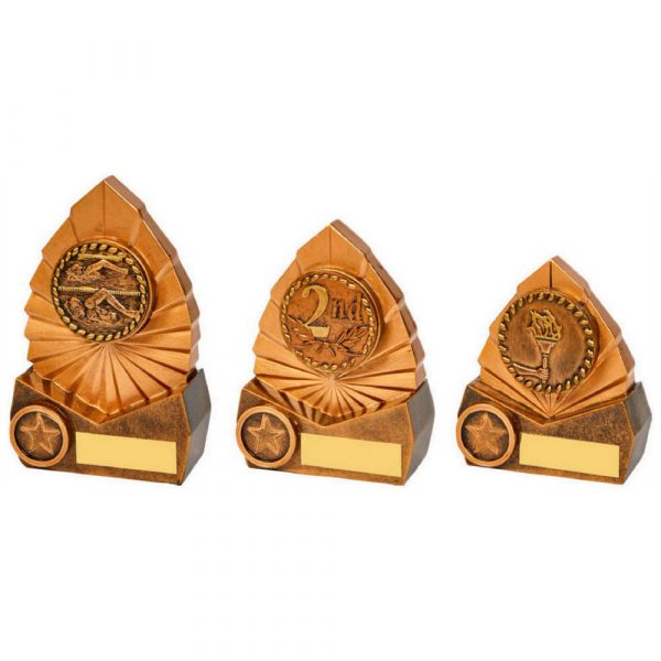 Resin Award with High Relief Centre of your Choice