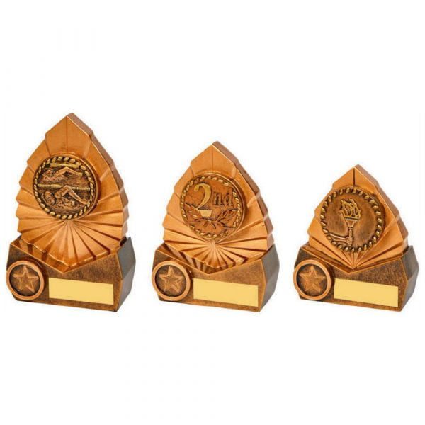 Resin Award with High Relief Centre of your Choice