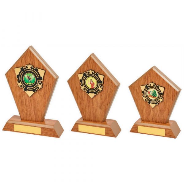 Light Oak Wood Stand Award