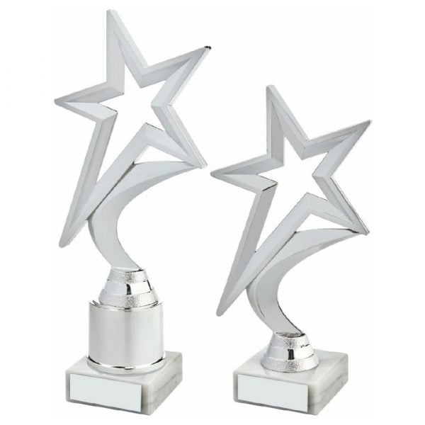 Silver Star Award