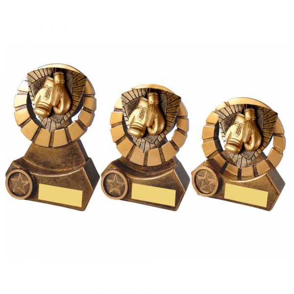Boxing Resin Stand Award