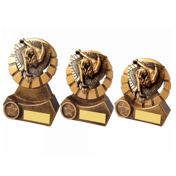 Martial Arts Resin Stand Award