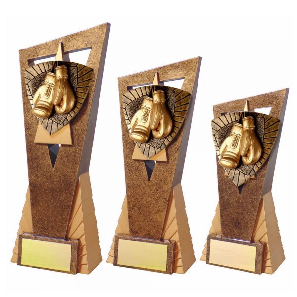 Boxing Edge Trophy