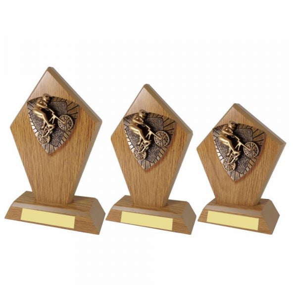 BMX Wood Stand