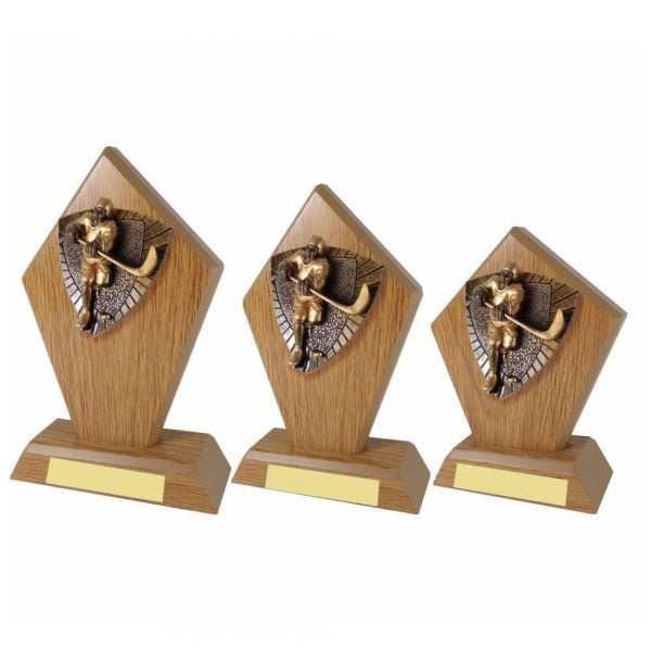 Ice Hockey Wood Stand