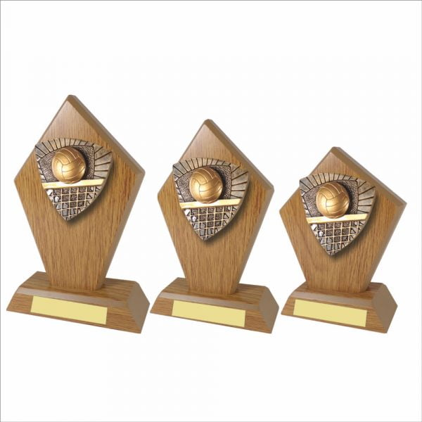 Volleyball Wood Stand