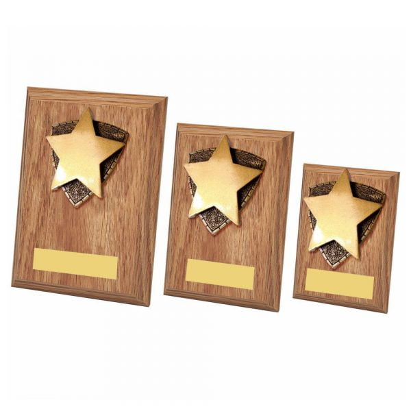 Star Award Wood Plaque