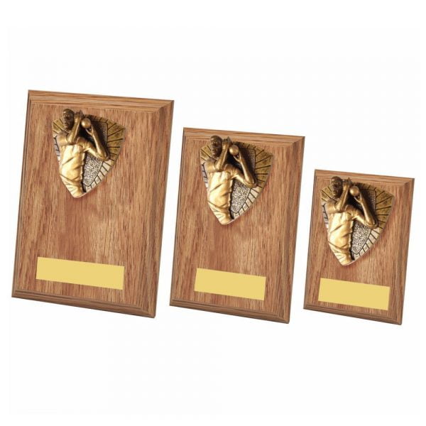 Cricket Bowler Wood Plaque