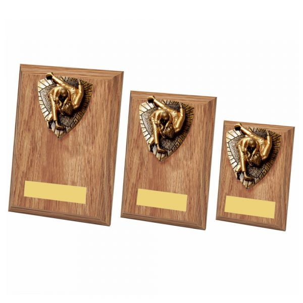 Judo Wood Plaque