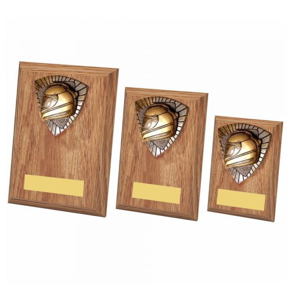 Motor Sport Helmet Wood Plaque