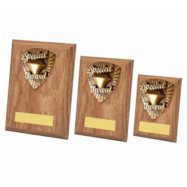 Special Award Wood Plaque