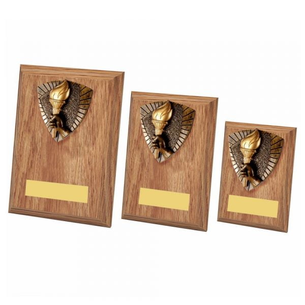 Flame Plaque Award