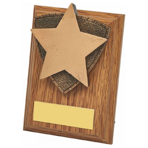 Wood Plaque with Resin Star Trim