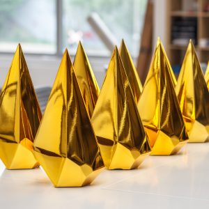 3D Printed Awards