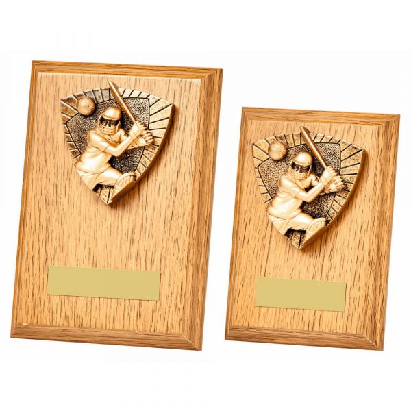 Cricket Batsman Wood Plaque