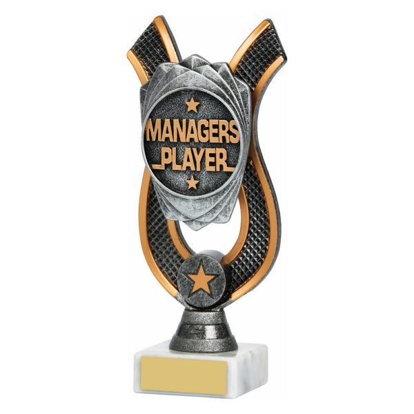 Managers Player Award