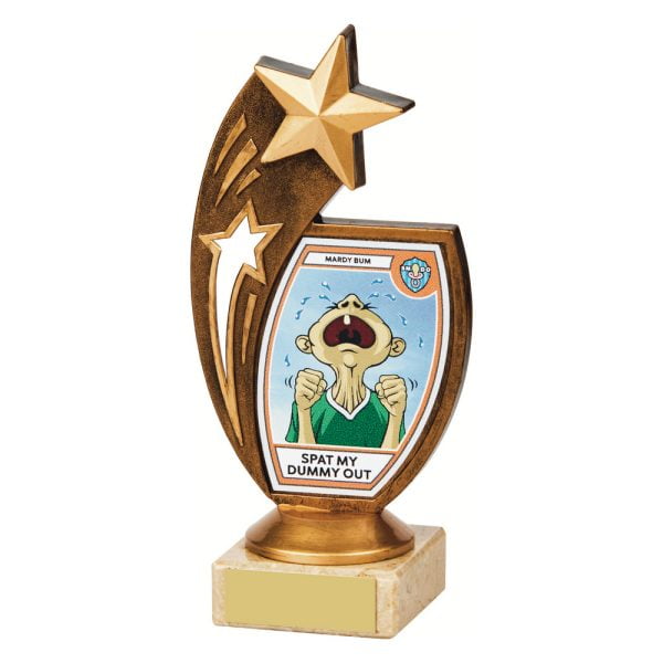 "Spat my Dummy Out" Fun Award