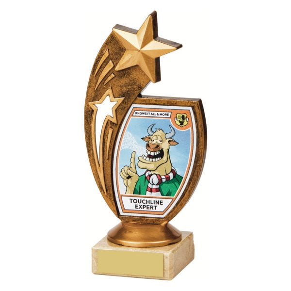 "Touchline Expert" Fun Award