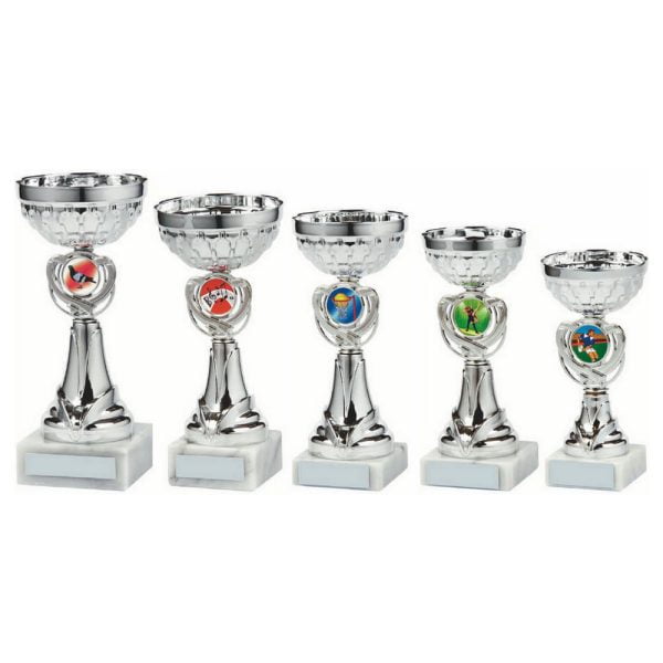 Silver Bowl Award