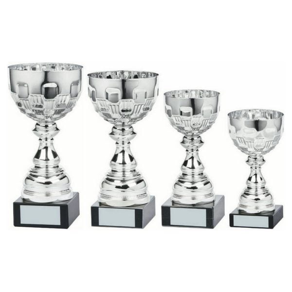 Silver Bowl Award