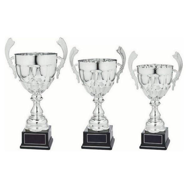 Silver Presentation Cup With Handles