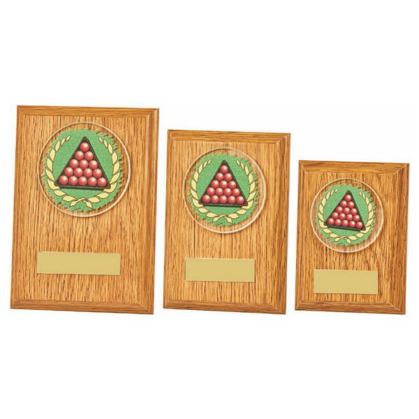 Light Oak Plaque - Snooker
