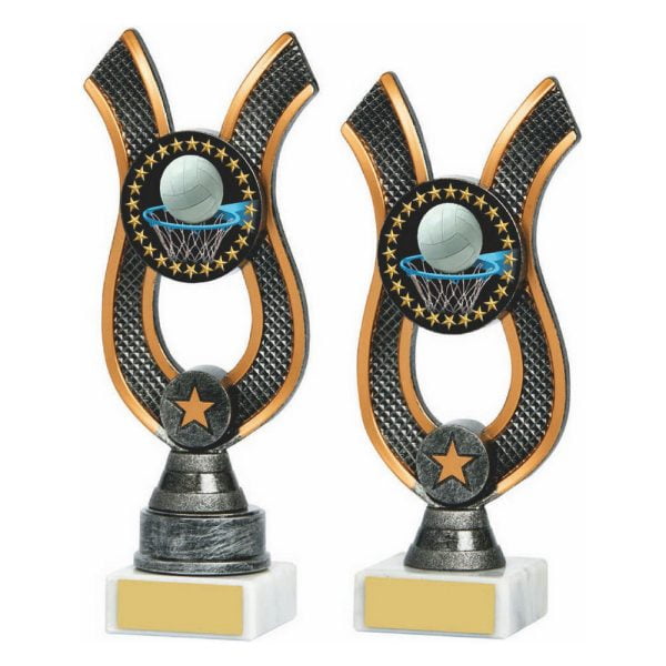 Antique Silver Ribbon Award - Netball