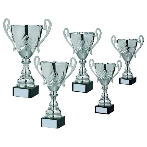 Silver Presentation Cup