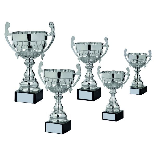 Silver Presentation Cup