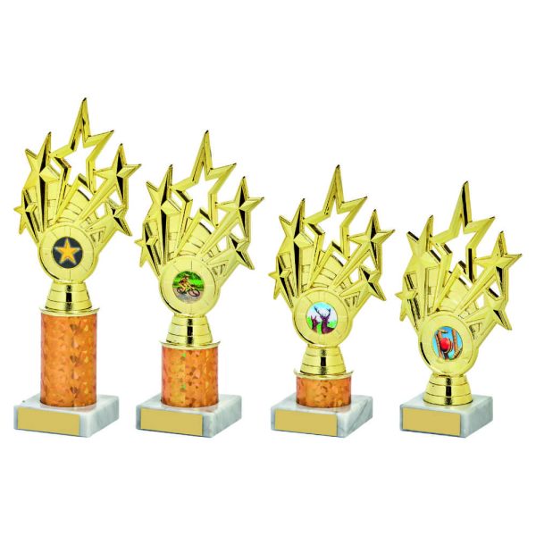 Gold Star Holder/Gold Tube Award