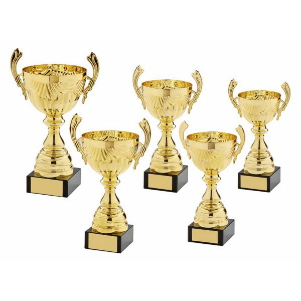 Gold Presentation Cup With Handles
