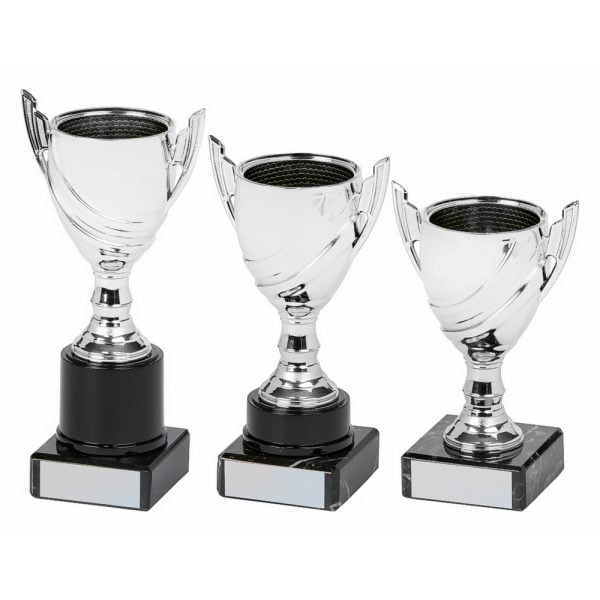 Silver Cup Award