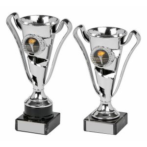 Silver Cup Award