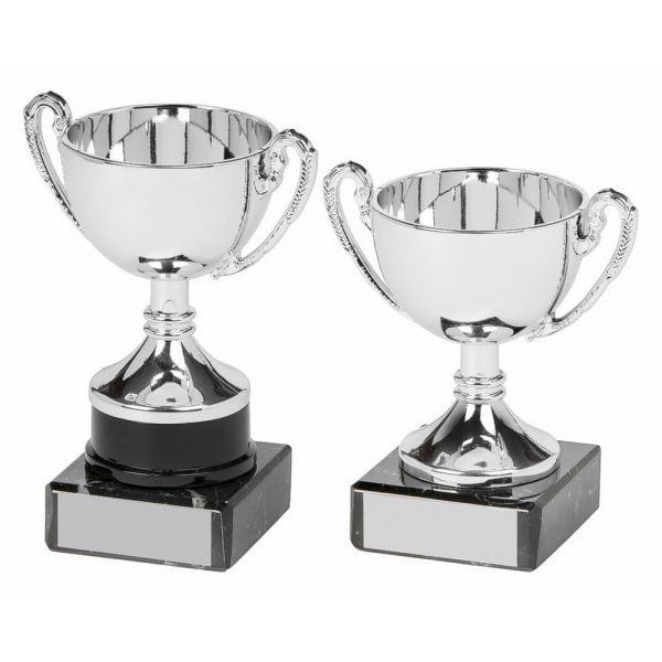 Silver Cup Award