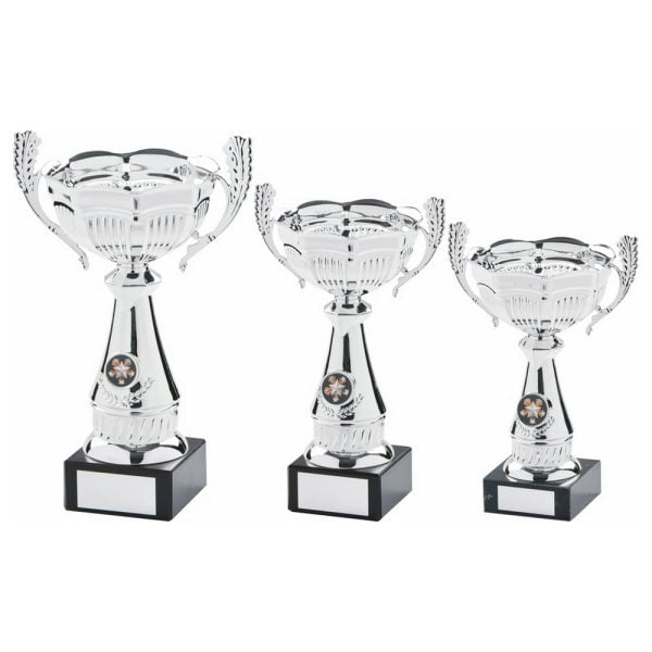 Silver Presentation Cup