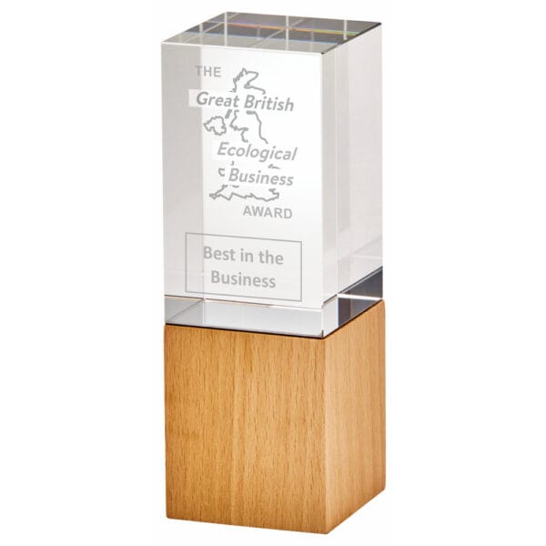 Clear Crystal Award with Black Base (In Presentation Case)