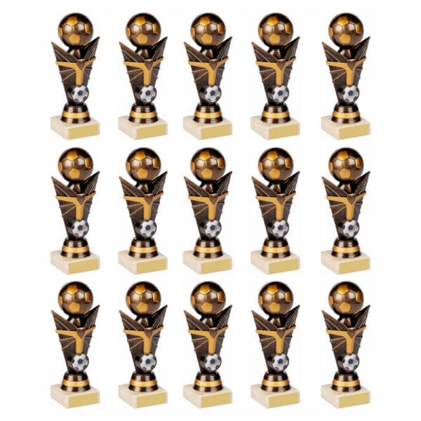 15 x Football Medals in Cases