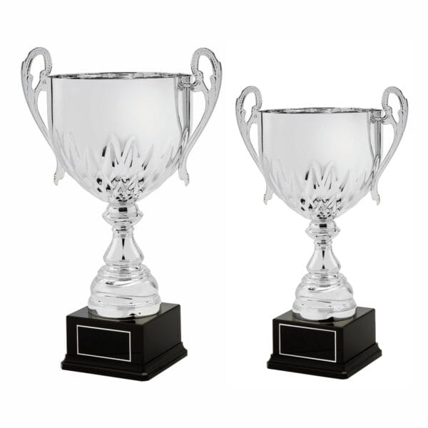 Silver Presentation Cup With Handles
