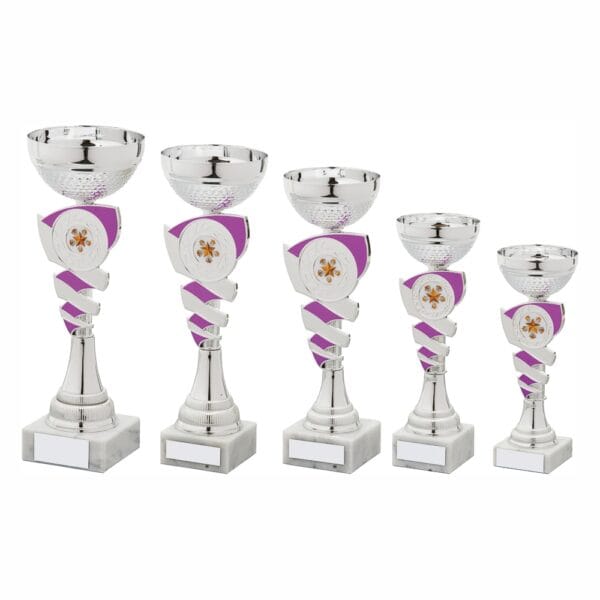 Silver and Purple Cup