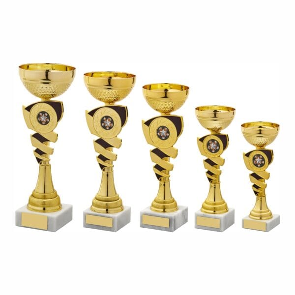Gold and Black Cup