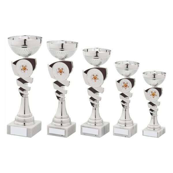 Silver and Black Cup