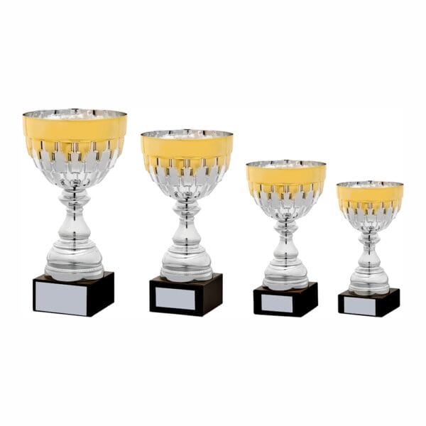 Silver and Gold Cup