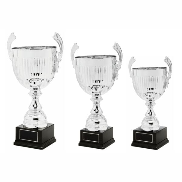 Silver Presentation Cup With Handles